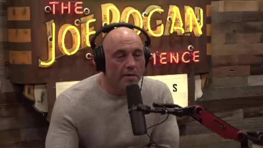 Joe rogan about CV19