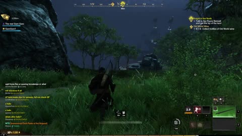 New World- I have no running animation.