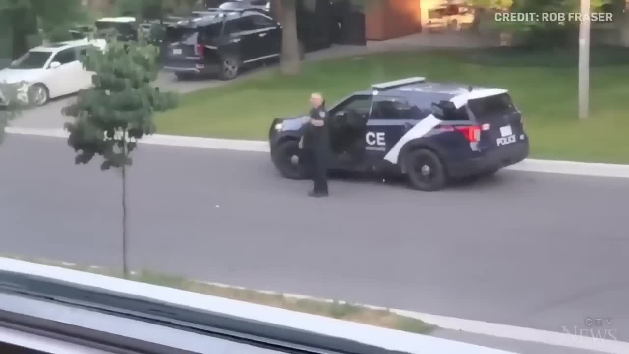 WATCH: Wild turkey faces off against Canadian police officer