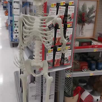 A skeleton in walmart
