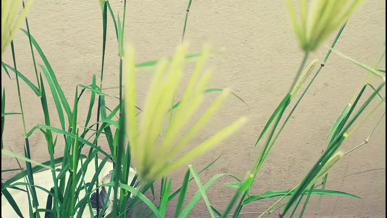 😱