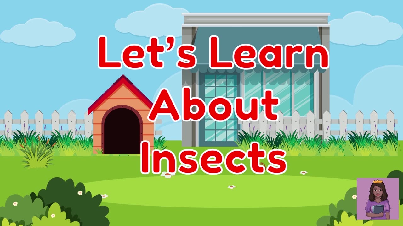 Let's Learn About Insects Educational Video For Kids