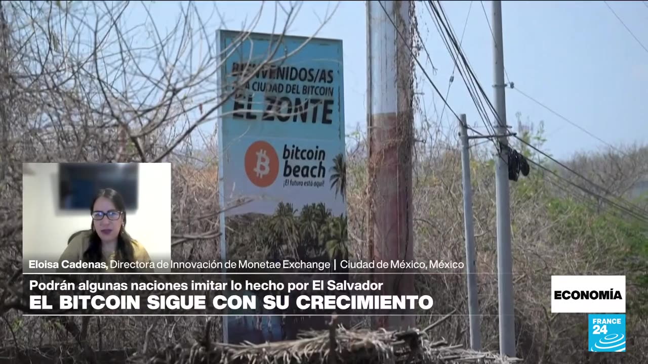 Bukele celebra: las reservas del bitcoin crecen 127,3% en El Salvador • FRANCE 24 Español