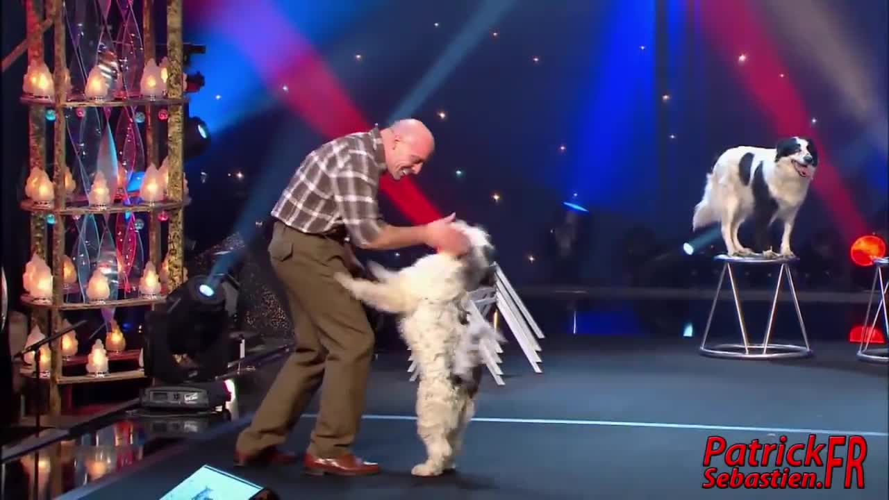 Wolfgang Lauenburger - Dressage de Chiens - Le Plus Grand Cabaret Du Monde