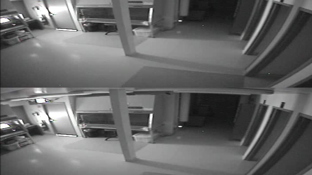 1702CRIB01CribAnalysisArea_2021-01-06_01h40min01s450ms.mp4