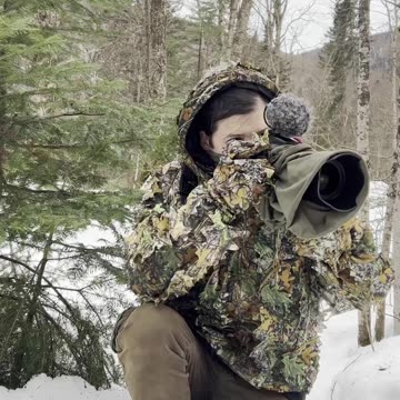 Wildlife Photography Snow