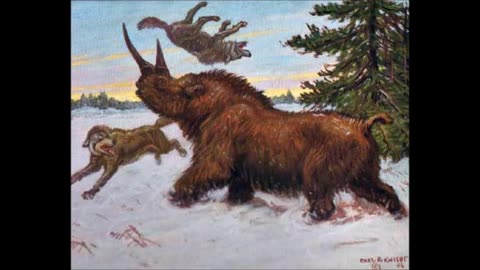 absurd - 1992 - Rehearsal (Demo)