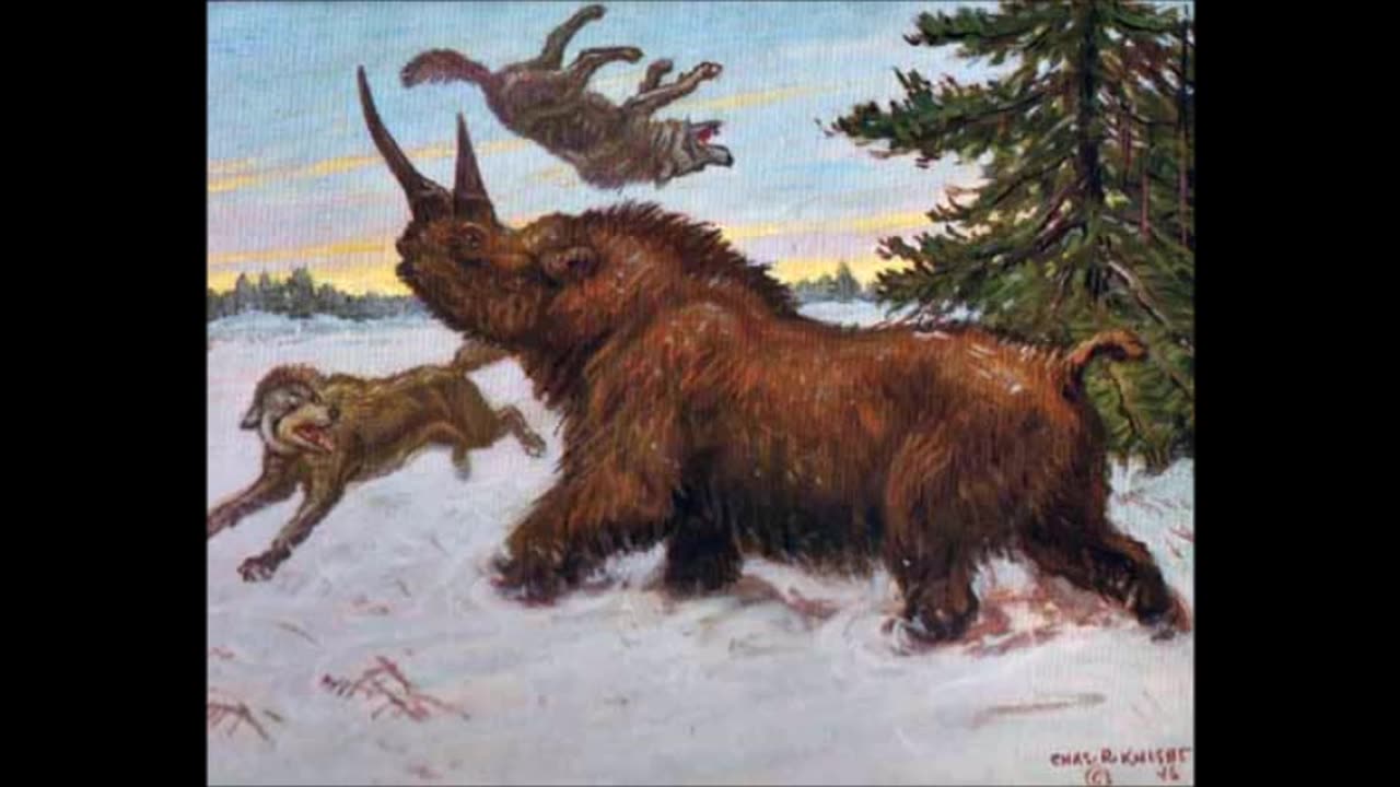 absurd - 1992 - Rehearsal (Demo)