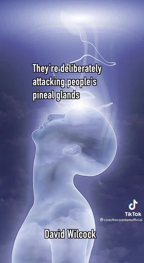 This Guy is in contact with the Illuminate