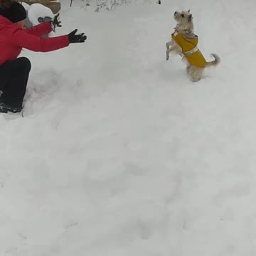 This is Luna, my flying dog! ;-)