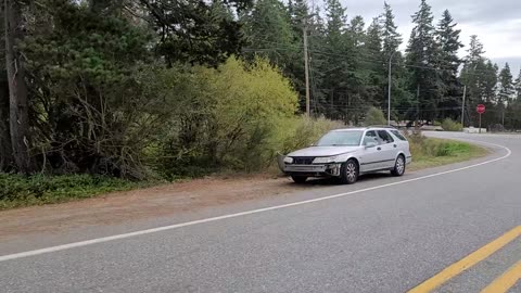 Hoffman Road - Oak Harbor, WA: Worse Than Ever [9/19/23]