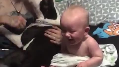 Dog fun with cute baby