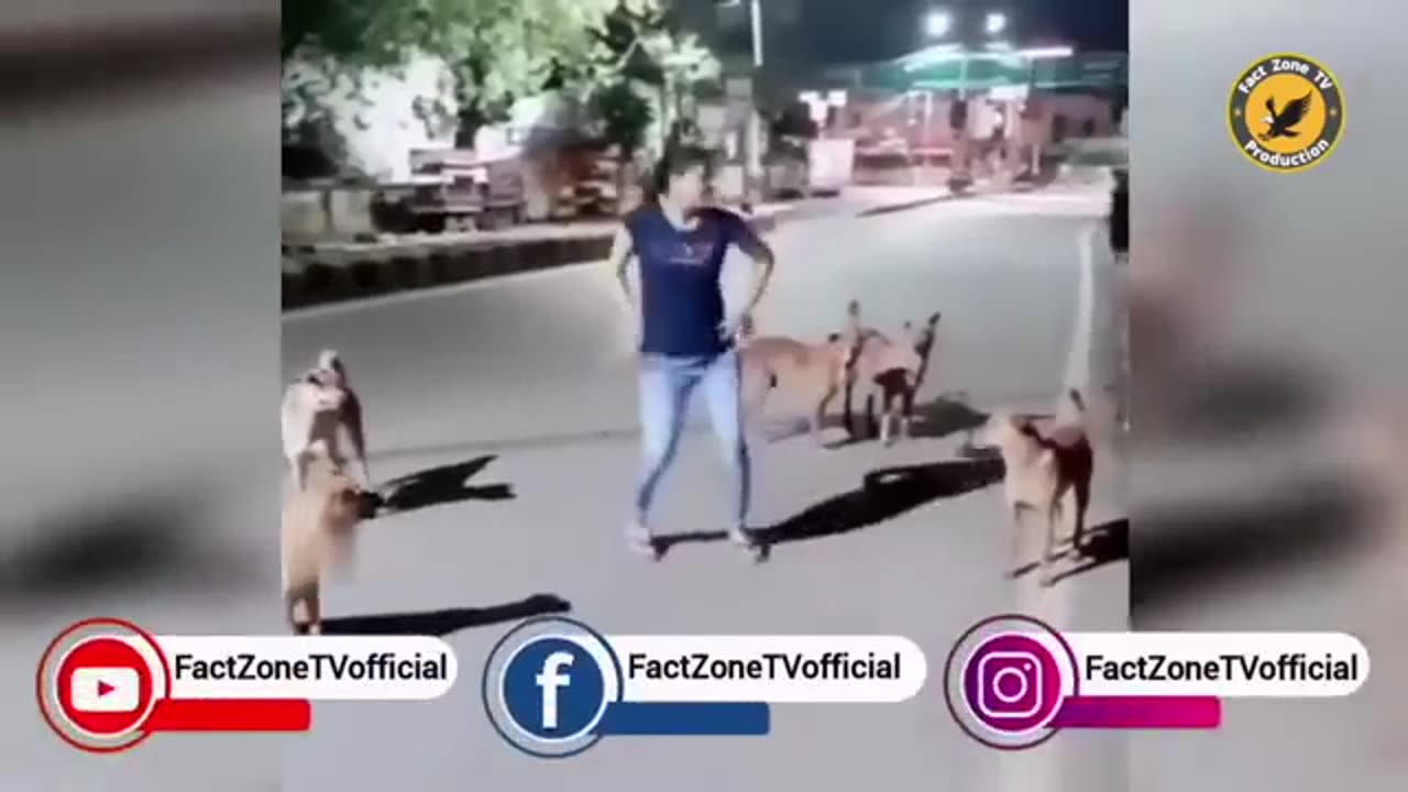 Animal funn moments and 😂😂😂