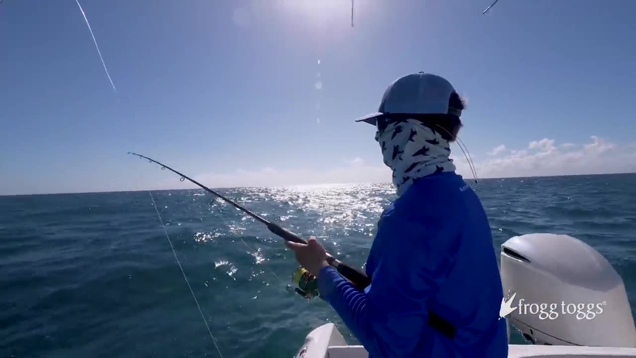 Massive 1000lb Tiger Shark caught while Bottom Fishing in the Bahamas - 4K