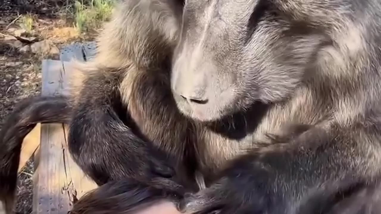 OMG!!! Do We Deserve Them !