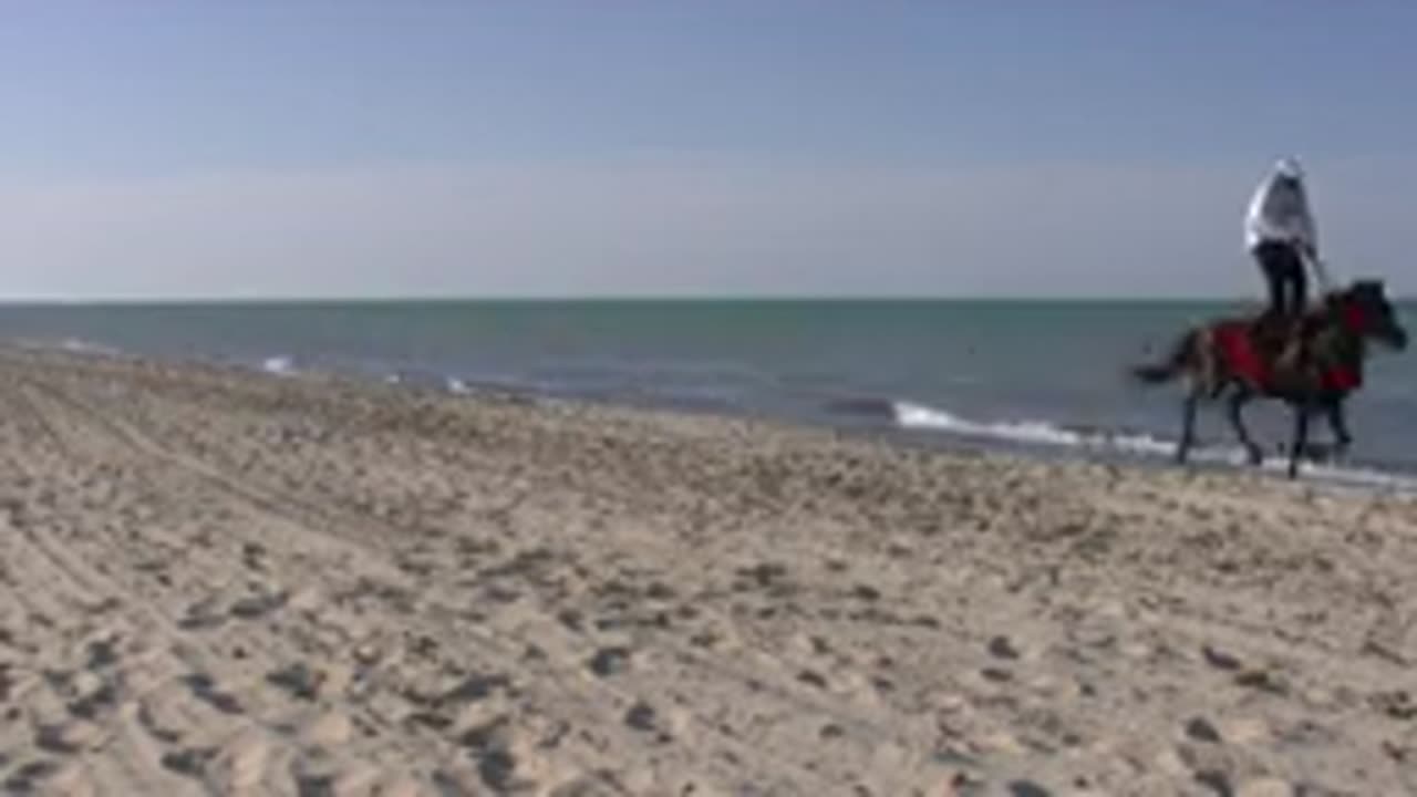 Riding horse on the beach