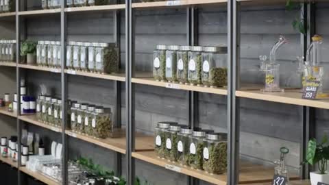 Cannabis Curb | Recreational Dispensary in Portland, OR