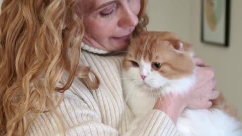 Cute cat have the most special Relationship with owner