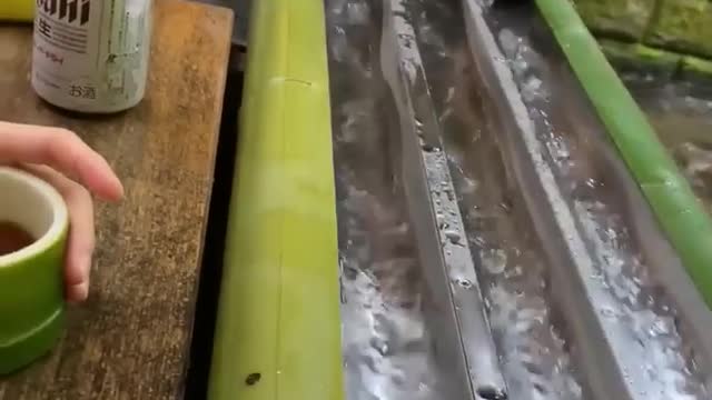 Waterfall of Noodles