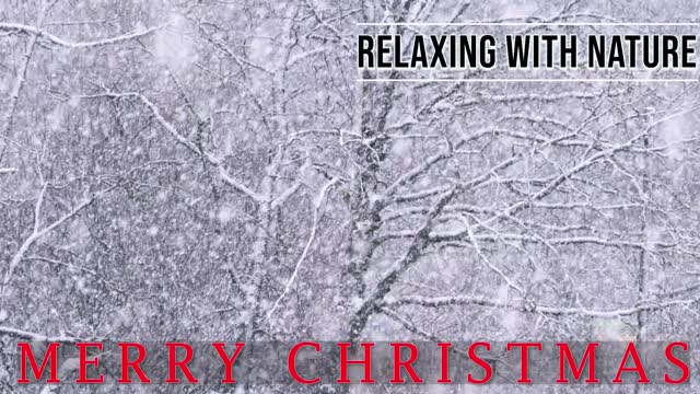 ☃️ ❄️ HALF HOUR OF SNOW FALL & JINGLE BELLS