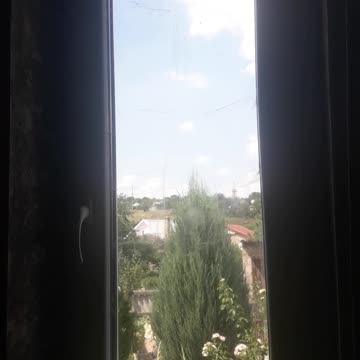 Garden of Eden outside the window