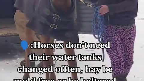 :Horses don't need their water tanks