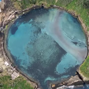 💢Azores Viral 🎦 Vídeo💢 #Shorts