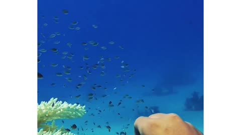 “See ya”