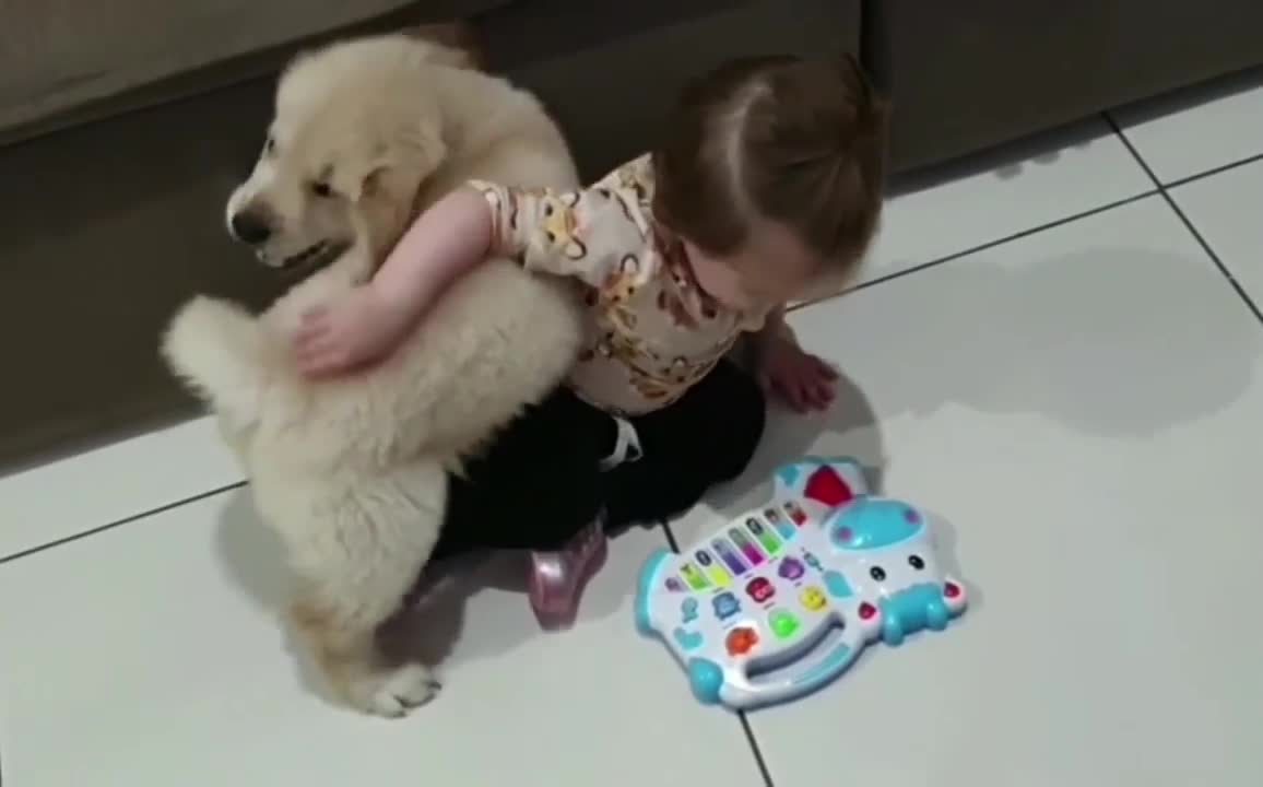 Adorable Pup Playing With A Little Girl