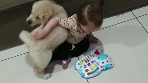 Adorable Pup Playing With A Little Girl