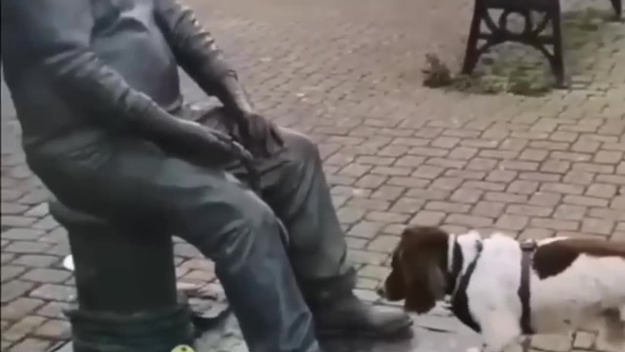 Funny animals 2024π - Funniest Cats and Dogs Videoππ