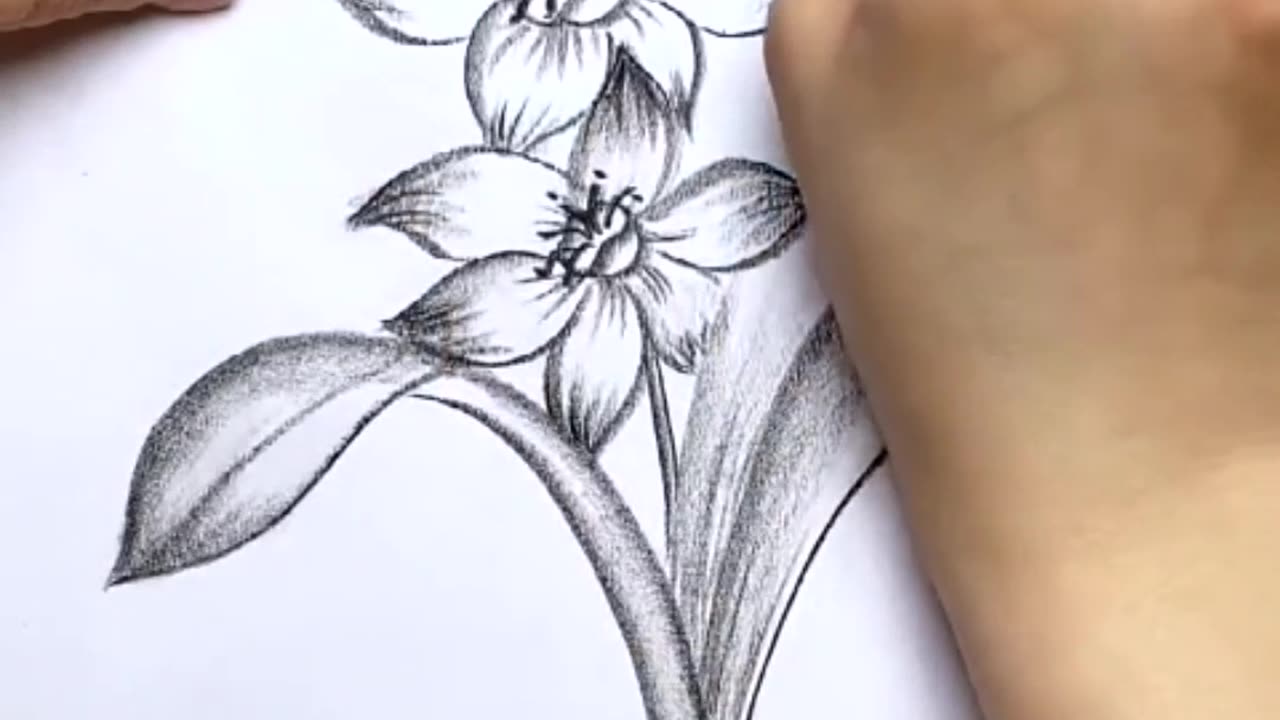 Pencil sketch