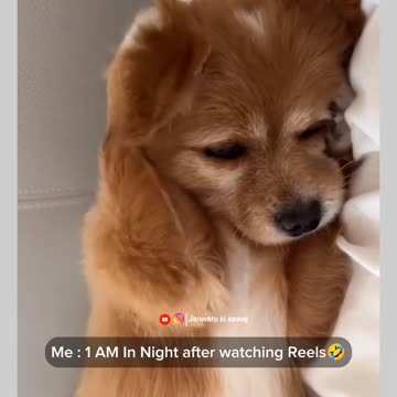 Funny moments 🤣 #69