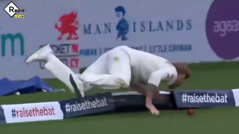 cricket funny movements