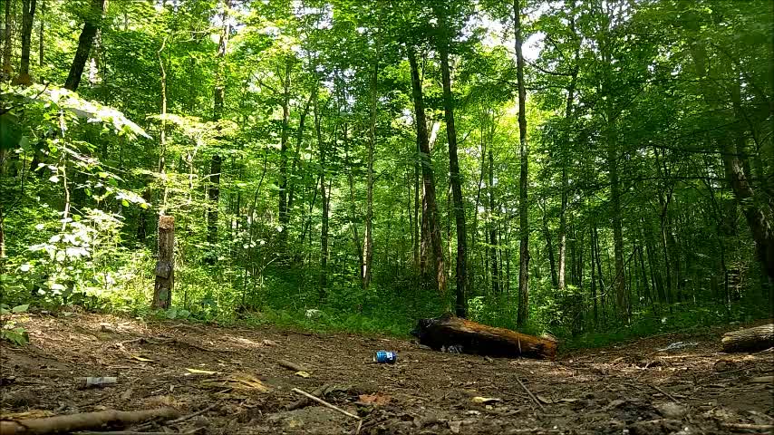 5 pounds of tannerite vs 500 pound log