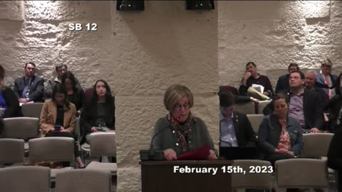 2/15/2023 SB12 - Senate Testimony - Goshen Librarian