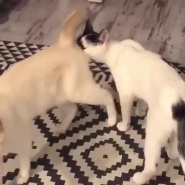 the smell of my woman