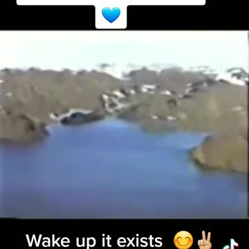 Interesting old footage of apparently someone flying over the ice wall in Antarctica