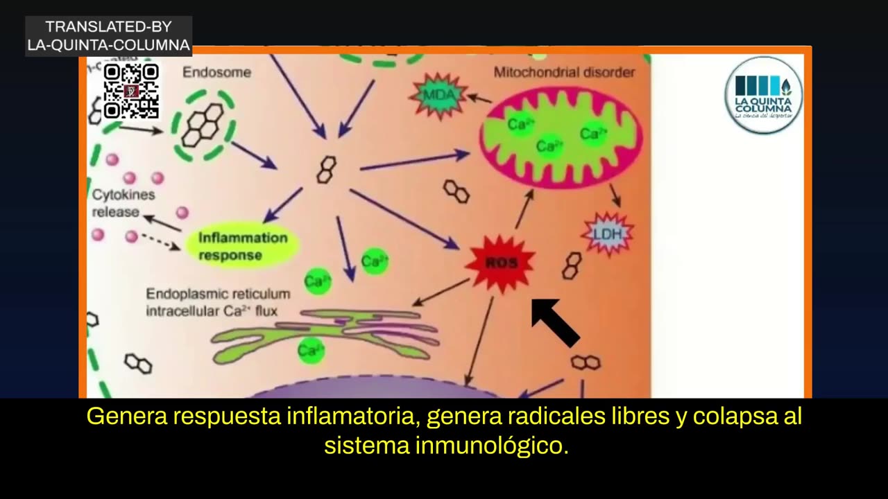 VICTORIA¡ MEDICOS en television ITALIANA hablando de LA QUINTA COLUMNA y el grafeno