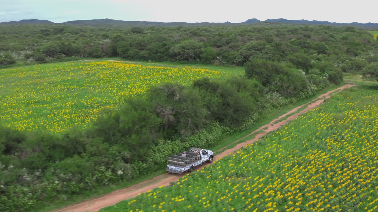 ARGENTINA DOVE HUNTING: SCORECARD