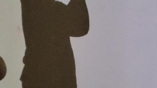 Making a shadow frog