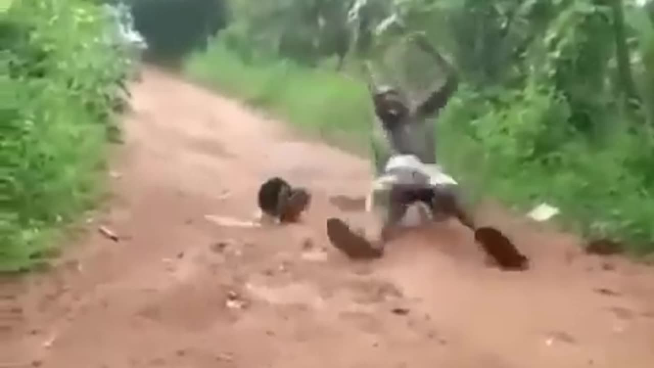 funny video man shocked when he saw snake