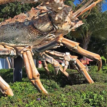 "Purple Island" but in Spanish Islamorada on the Florida Keys. 1/21/24