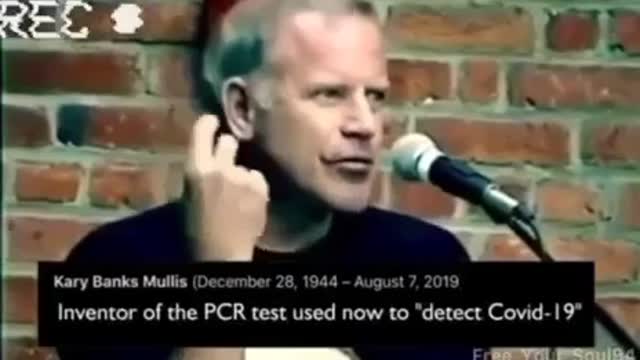 Kary B. Mullis - PCR Test - Conclusive why it doesn't work