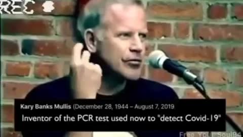 Kary B. Mullis - PCR Test - Conclusive why it doesn't work