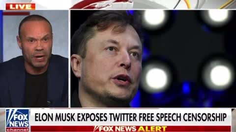 Dan Bongino: Shadow Banned on Twitter