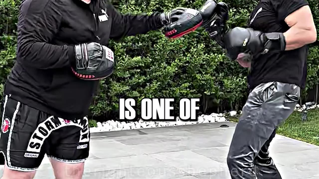 TRISTAN TATE: "Why I Never Go To Serbia?"