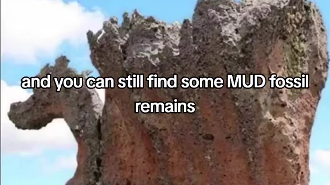 Hidden civilization they kept from us all