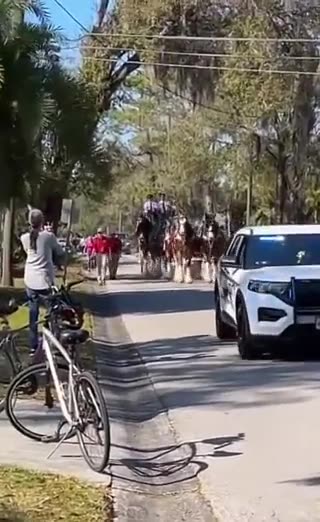 Our neighbor just won a years worth of Bud...WOAH