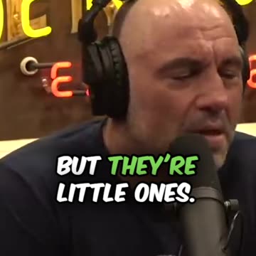 I wish I was a Sicker